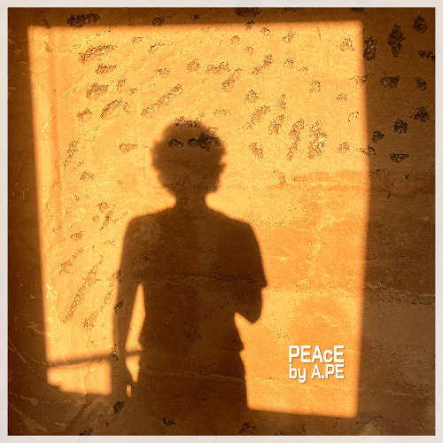 PEAcE - Demo