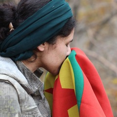 Gerilla Sesinden Yolcu Şiiri