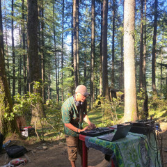 Goa DJ SET by DJ TSIODN (Fairy Forest)