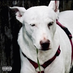 drift into the end (PROD.SA7AGE)