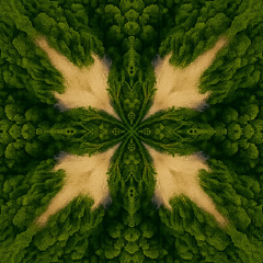 Psygenartig