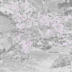 HOLDING OUT FOR A TAMBORZÃO (WILHELMINA Bootleg) SLOWED DOWN