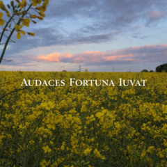 Audaces Fortuna Iuvat