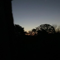 Nap - Should I Add Drums?