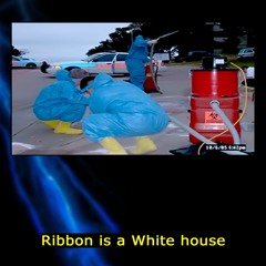Ribbon is a White house