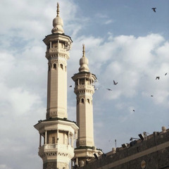 أناشيد