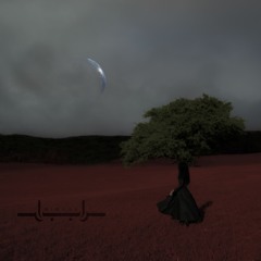 Setareh Ahmadi & IDFT - Mirage