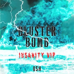 Cluster Bomb - Insanity VIP (FREE DL)