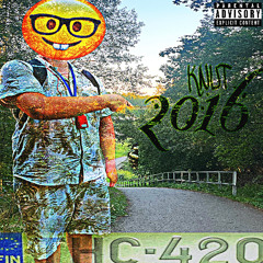 knut / 2016