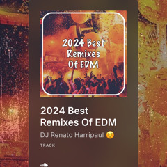 2024 Best Remixes Of EDM