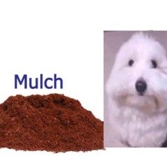 Mulch