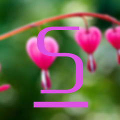 For Love