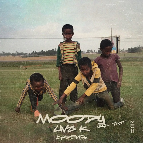Liva K x Bobby Shmurda - Moody Like That (Codeus Mashup)