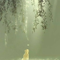 Iceclouds - Hold