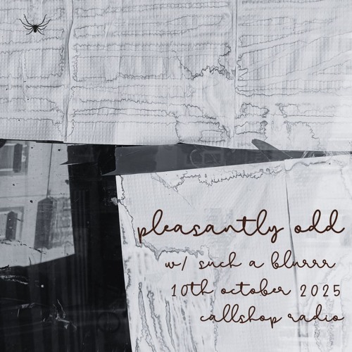 Pleasantly Odd w/ such a blurrr 10.10.25