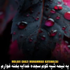 په نیمه شپه کوم سجده خدایه بخنه غواړم