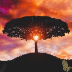 Intro
