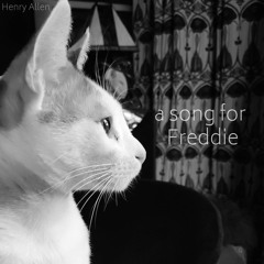 a song for Freddie