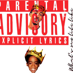 Vinci Villionaire-What’s my life like (Prod.by yungpear)