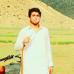Zwani_agha_zwani_wa_che_da_yar_pa_gham_ki_laara,,__مس_چاہت_گل_ڈانس_خکلی_سندرہ(256k).mp3