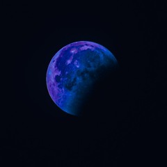 Blue Moon Paradise