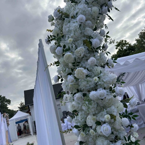 My Dreams (ft. kvmri) (unreleased)