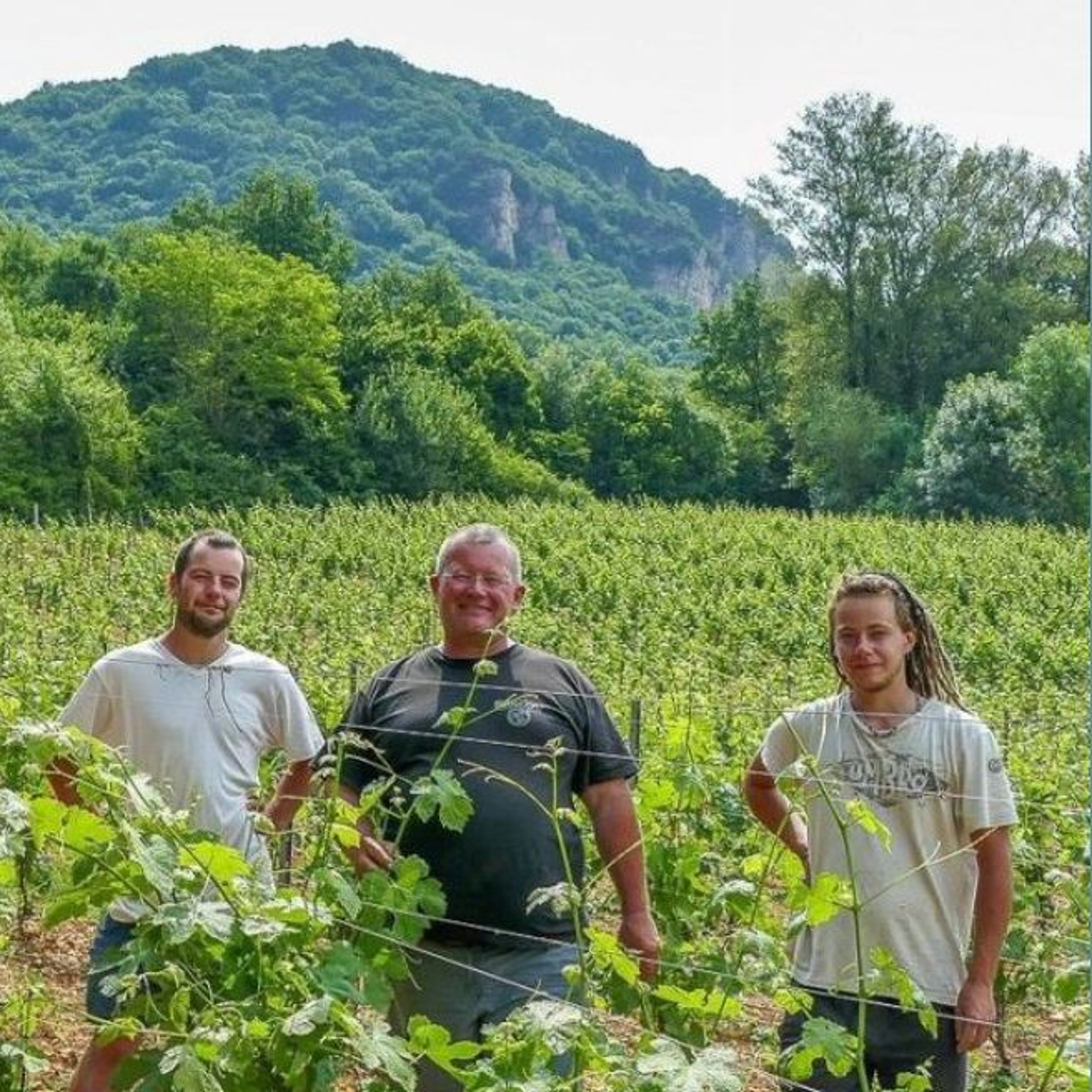 Les podcasts de RadioVino, vin naturel et gastronomie