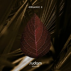 [Premiere] Allex & Tompy - Kade (Original Mix) [Sudam Recordings]