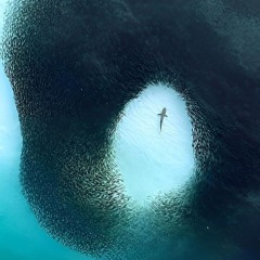 Lose Control (REGGAE REMIX) 🍻🔂