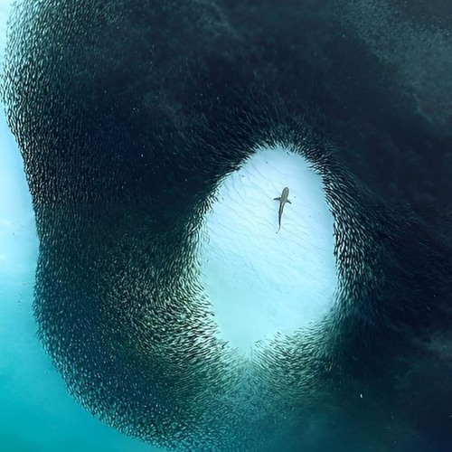 Lose Control (REGGAE REMIX) 🍻🔂