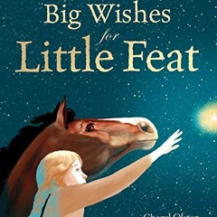 Get [EBOOK EPUB KINDLE PDF] Big Wishes for Little Feat by  Cheryl Olsten,Paolo d'Alta
