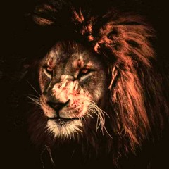 BIG CAT FREESTYLE