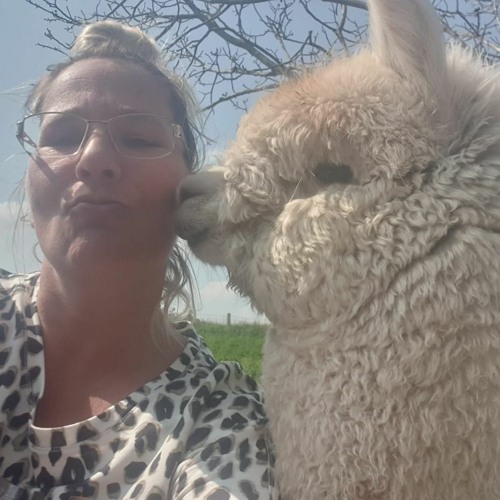 Bianca Duits – Overnachting Inclusief Alpacawandeling In Nederasselt