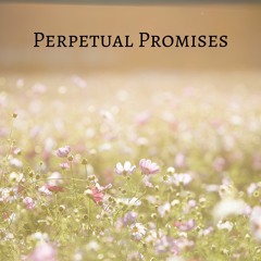 Perpetual Promises