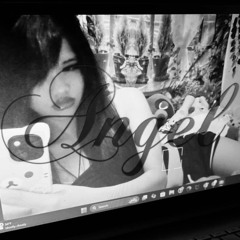 to3ternidi prod .soka