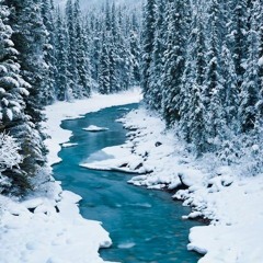 TRUE NORTH