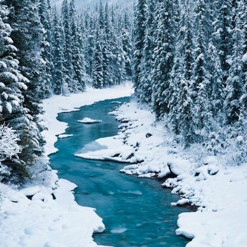 TRUE NORTH