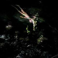 The Devil Is In The Details