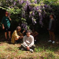 Maro (live)