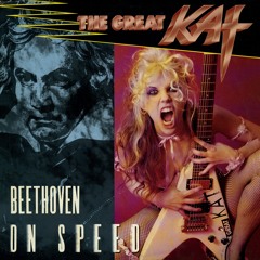 Beethoven on Speed (Beethoven's 5th Symphony in C-Minor)
