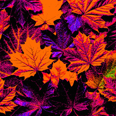 Through Hallow Leaves