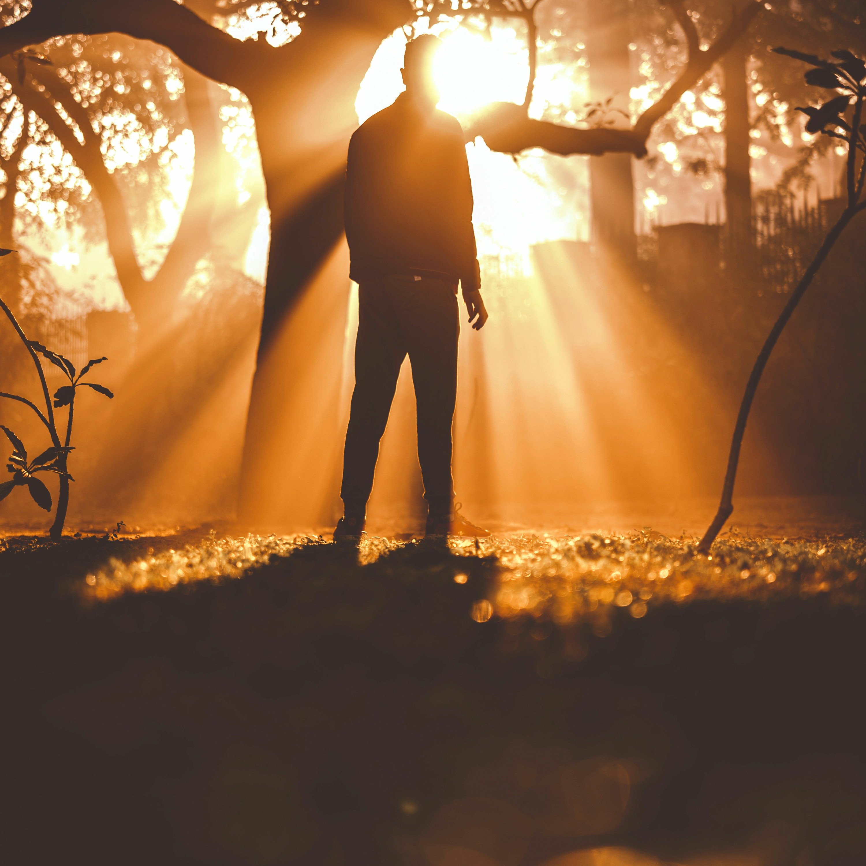 The Courageous Path