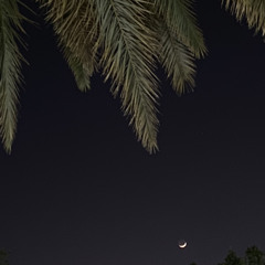 القارئ عبدالعزيز الراجحي🤎