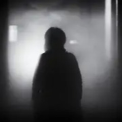 Rise From The Shadows