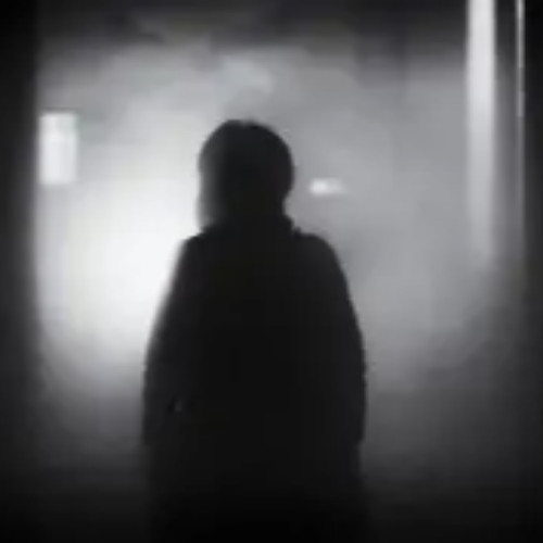 Rise From The Shadows