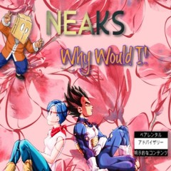 Neaks - WhyWouldI