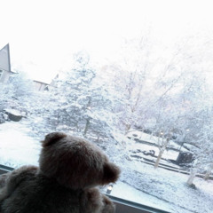 без тебя (zmny)