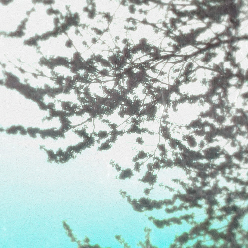 Cold Heart