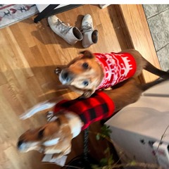 nervous (prod. by pandrs)