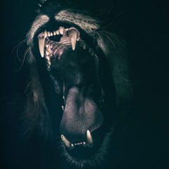 Lion (feat. DMX, Method Man & Redman)